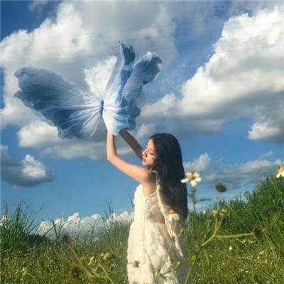 汪星人的奇思妙想